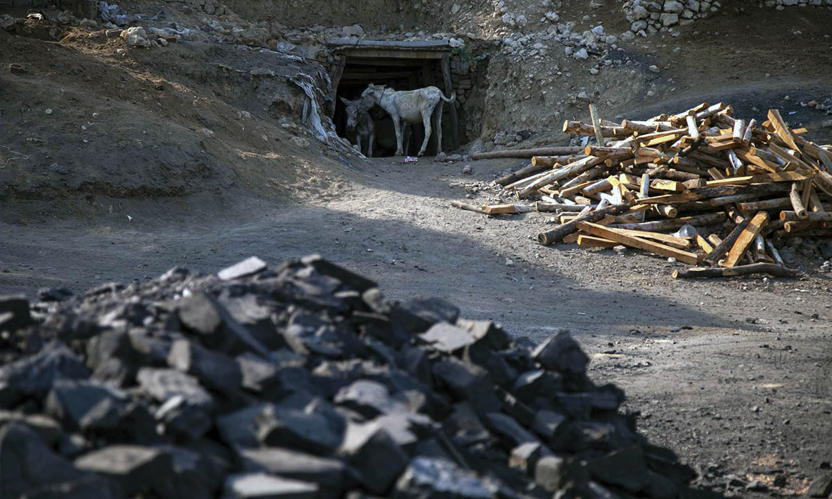 Donkeys stand at the entrance of a coal mine in Choa Saidan Shah, Punjab province, May 5, 2014. Workers at this mine in Choa Saidan Shah dig coal with pick axes, break it up and load it onto donkeys to be transported to the surface. Employed by private contractors, a team of four workers can dig about a ton of coal a day, for which they earn around $10 to be split between them. The coalmine is in the heart of Punjab, Pakistan's most populous and richest province, but the labourers mostly come from the poorer neighbouring region of Khyber Pakhtunkhwa. Picture taken May 5, 2014. REUTERS/Sara Farid (PAKISTAN - Tags: BUSINESS SOCIETY ENERGY)

ATTENTION EDITORS: PICTURE 02 OF 24 FOR PACKAGE 'COAL MINING IN THE PUNJAB' 
TO FIND ALL IMAGES SEARCH 'FARID COAL'